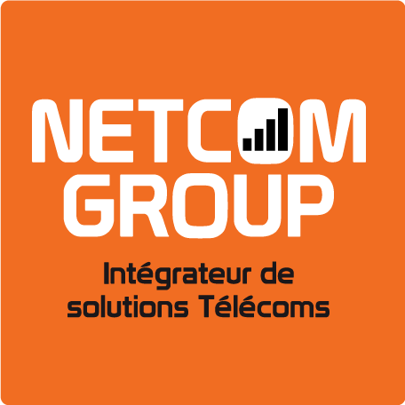 Netcom Group logo